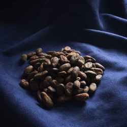 Fèves de cacao cru 120g BIO