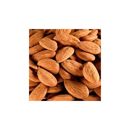 Amandes Décortiquées Grillées BIO 5 kg