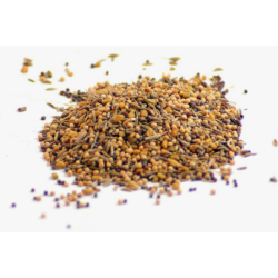GRAINES à ROUSSIR 50gr