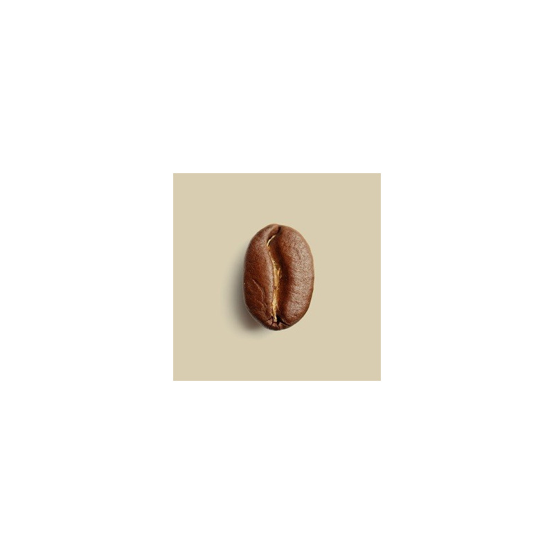 Café en grains Mélange Planteur 1kg