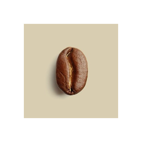 Café en grains Mélange Planteur 1kg