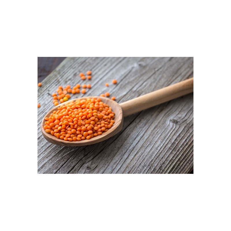 Quinoa Blanc BIO 5 kg