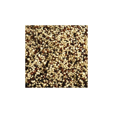Quinoa Tricolore BIO 5 kg