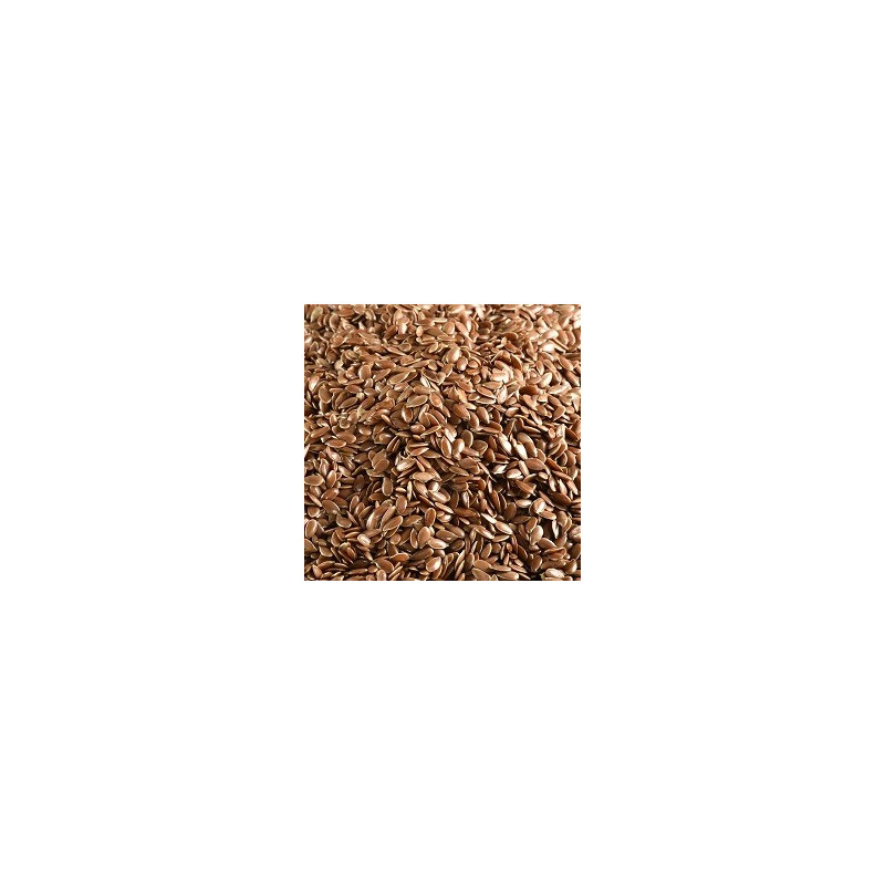 Graines de Lin BIO 5kg