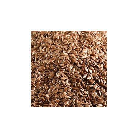Graines de Lin BIO 5kg