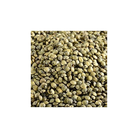 Lentilles Vertes BIO 5 kg