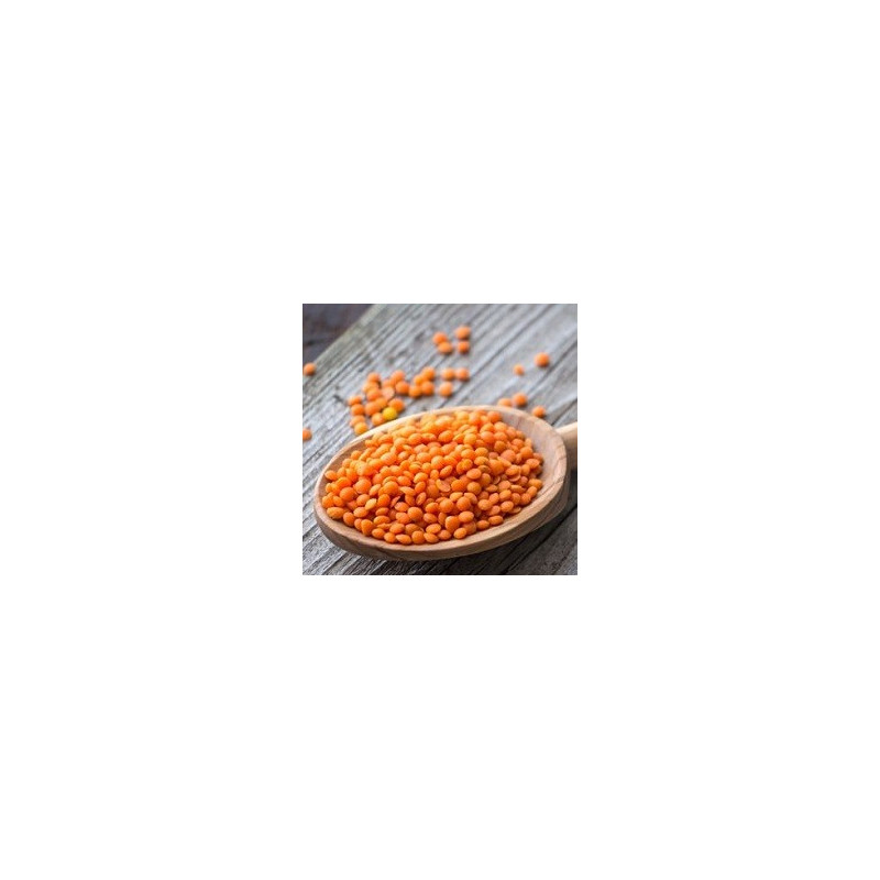 Quinoa Blanc BIO 5 kg