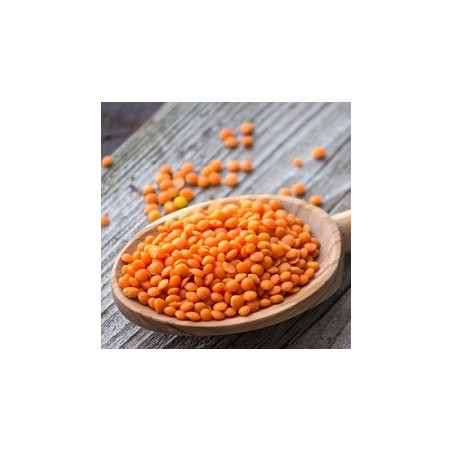 Quinoa Blanc BIO 5 kg
