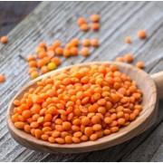 Quinoa Blanc BIO 5 kg