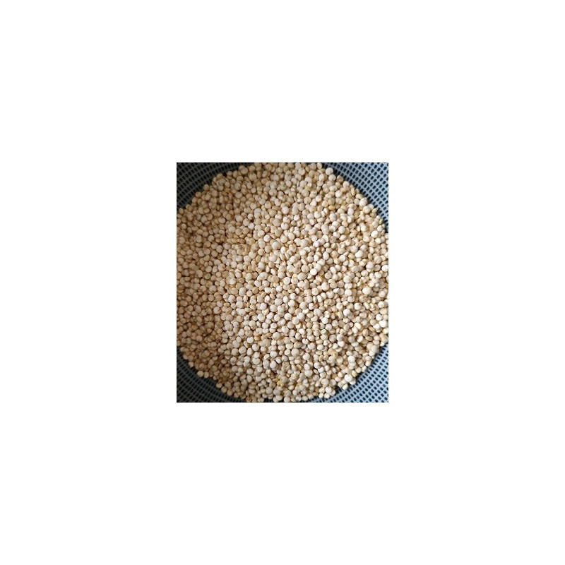 Quinoa Blanc BIO 5 kg