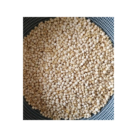 Quinoa Blanc BIO 5 kg