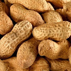 Cacahuètes Coques BIO 2kg