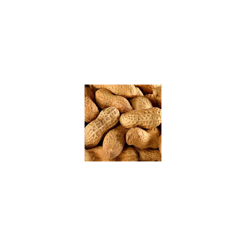 Cacahuètes Coques BIO 2kg