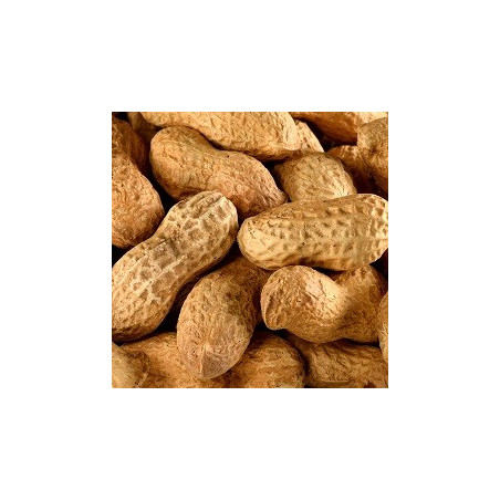 Cacahuètes Coques BIO 2kg